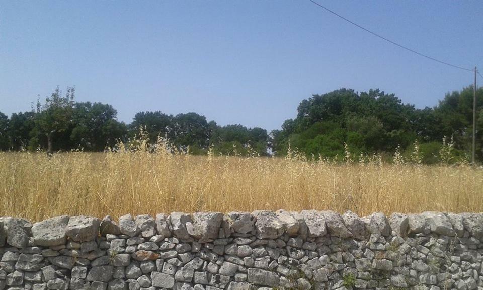 Trullo Le Tre Sorelle Cisternino Ngoại thất bức ảnh